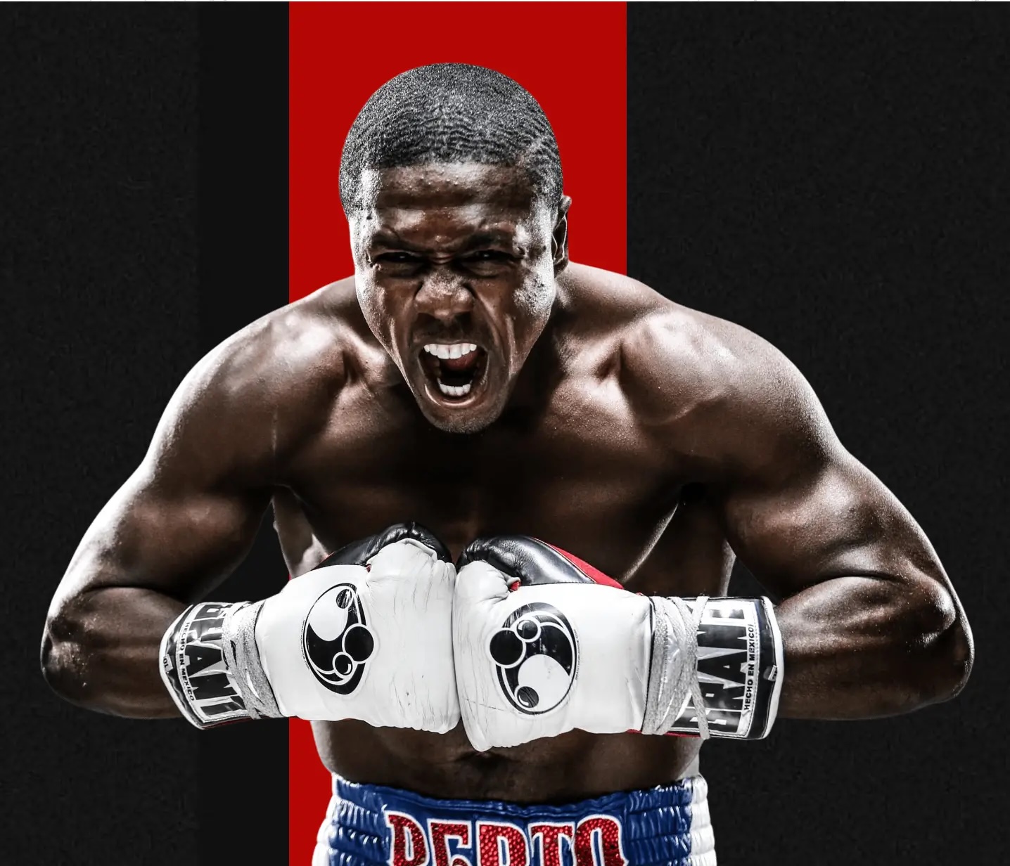 Andre Berto, 2X boxing world champion